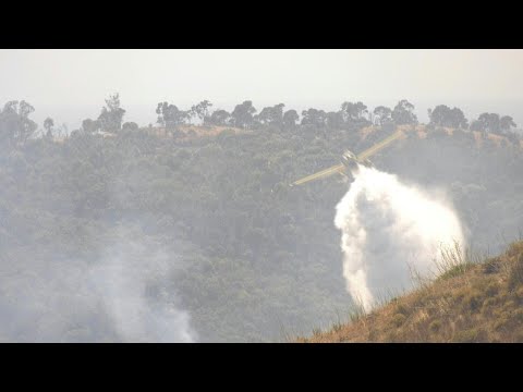 Bombeiros lutam contra incêndio em Portugal | AFP