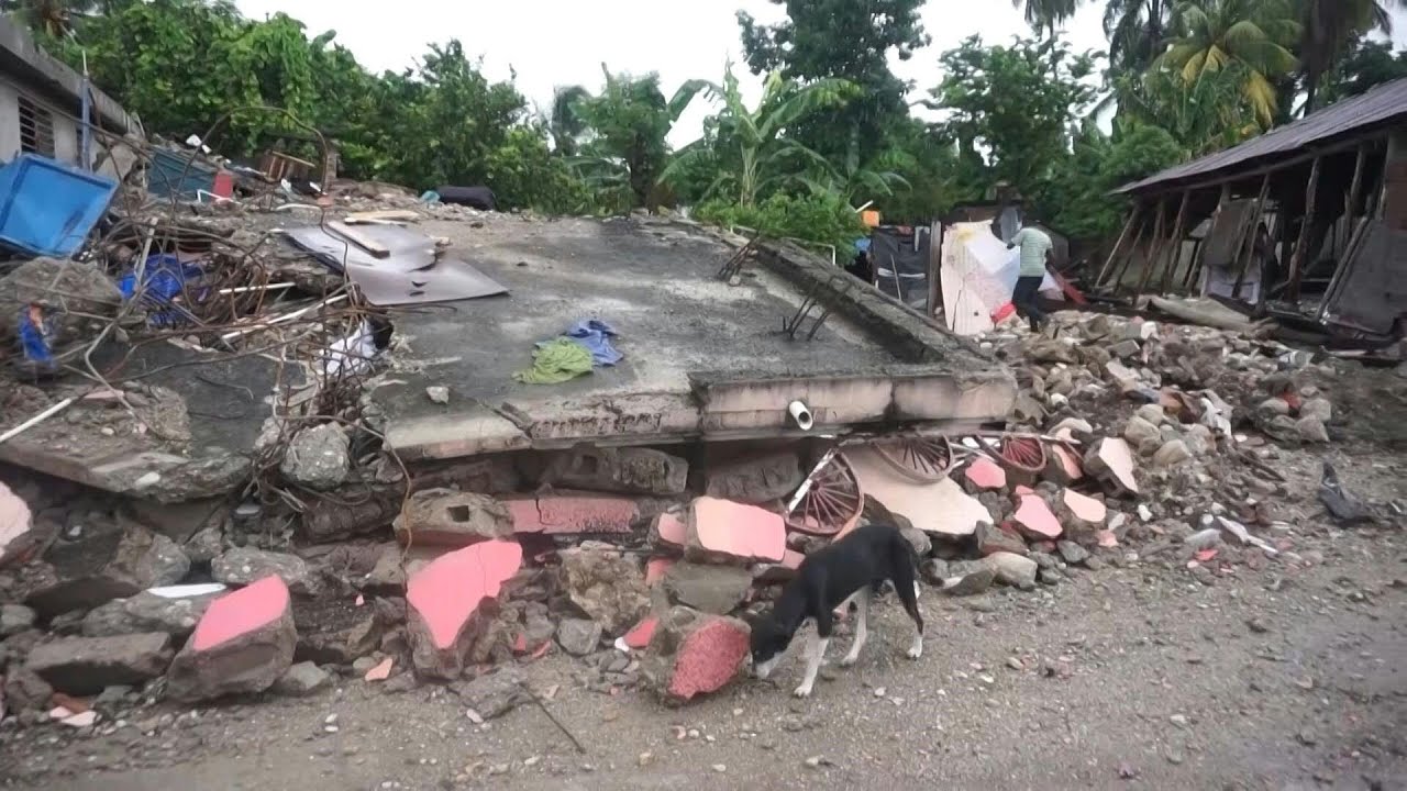 Brasil vai enviar missão humanitária ao Haiti | AFP