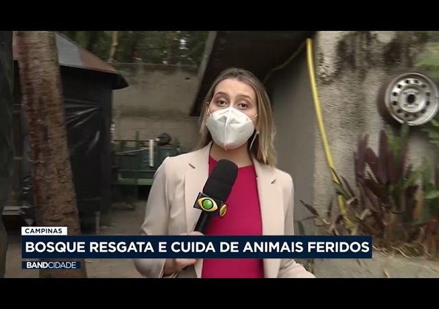 Campinas: Bosque resgata e cuida de animais feridos