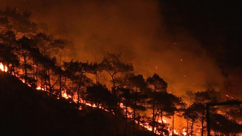 Países mediterrâneos sofrem com incêndios | AFP