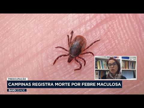 Preocupação: Campinas registra morte por febre maculosa