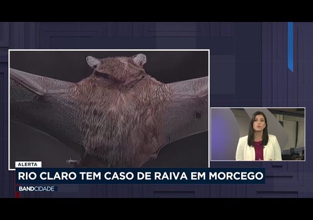 Rio Claro tem caso de raiva em morcego