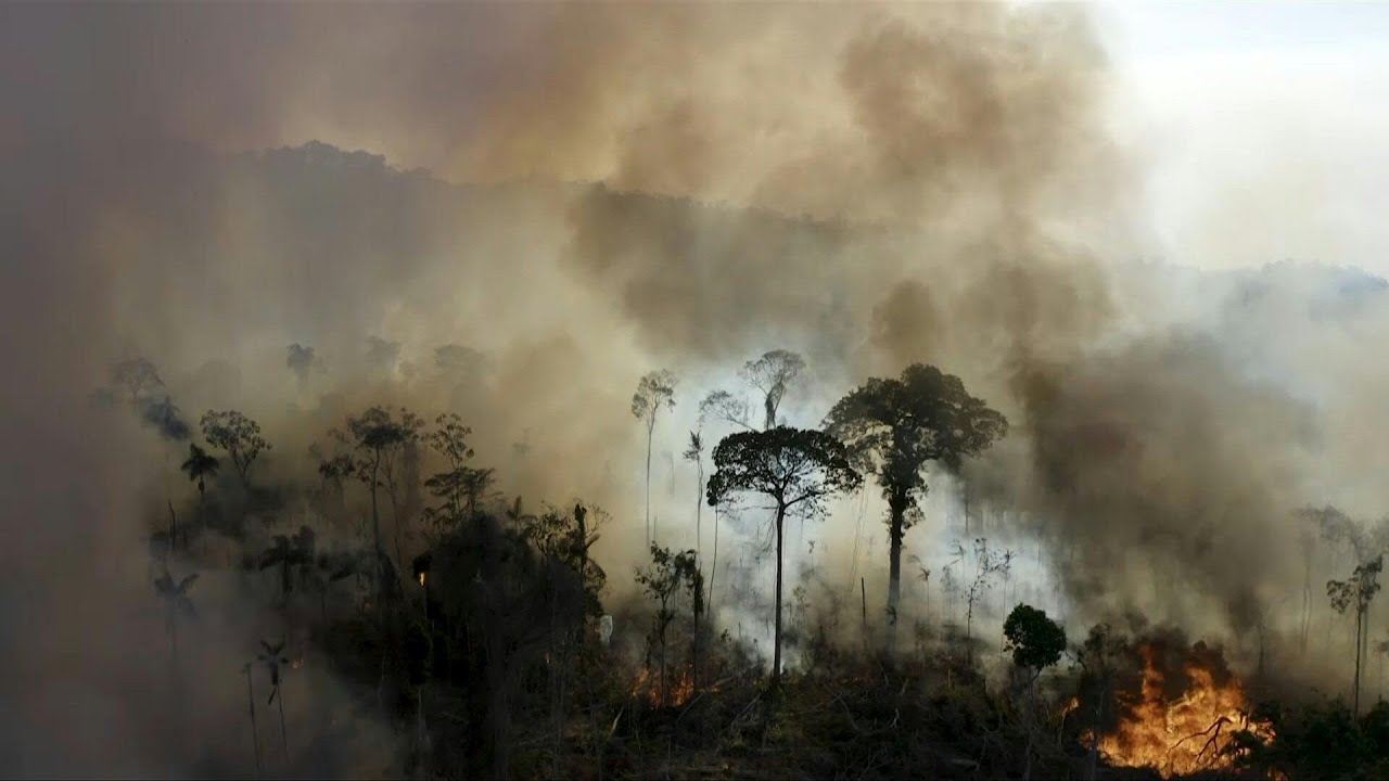 Incêndios na Amazônia continuam em níveis elevados | AFP