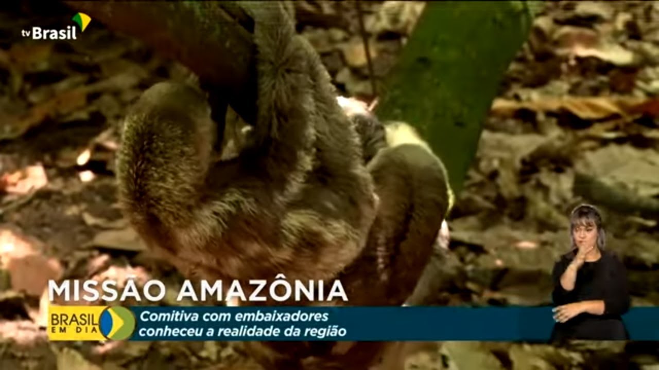 Missão Amazônia