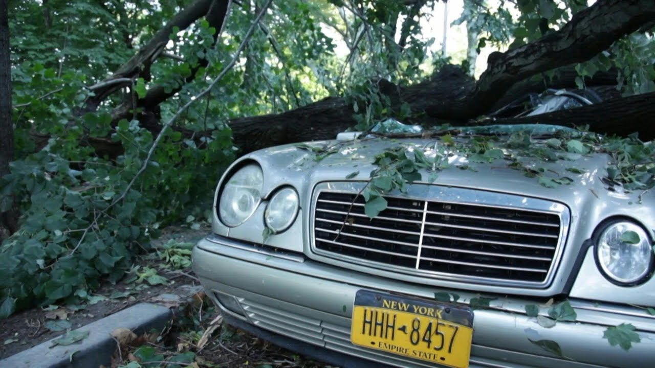 Tempestade Ida deixa 14 mortos em Nova York | AFP