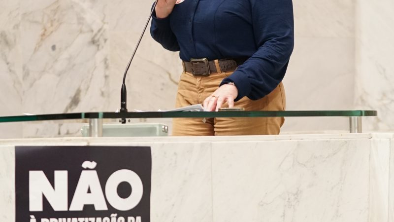 Ana Perugini aponta inconstitucionalidade e ‘falha no processo democrático’