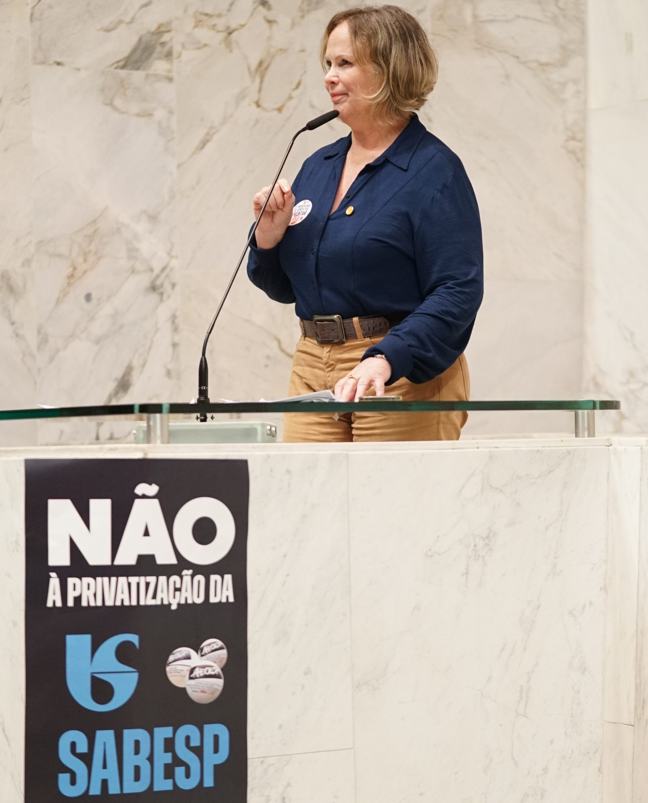Ana Perugini aponta inconstitucionalidade e ‘falha no processo democrático’