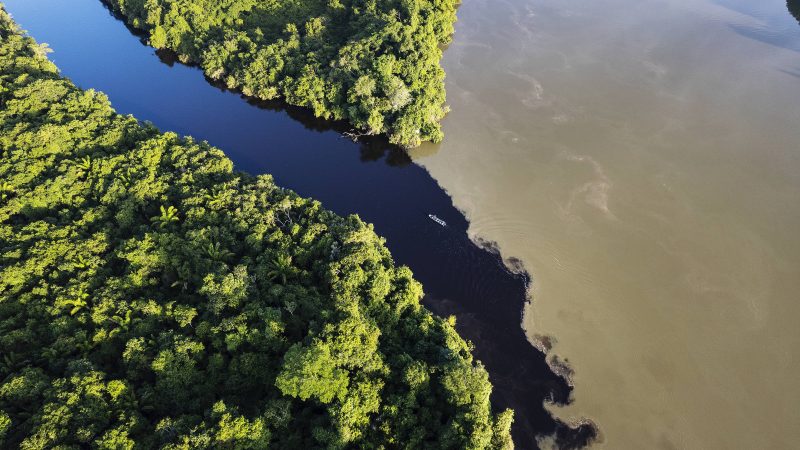 Cristalino: como é o lodge no meio da floresta amazônica – 22/11/2023 – Turismo