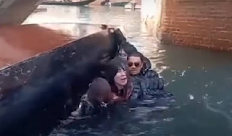 Gôndola tomba em Veneza com selfie de turistas; veja vídeo – 06/12/2023 – Turismo