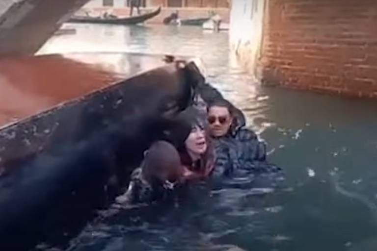 Gôndola tomba em Veneza com selfie de turistas; veja vídeo – 06/12/2023 – Turismo