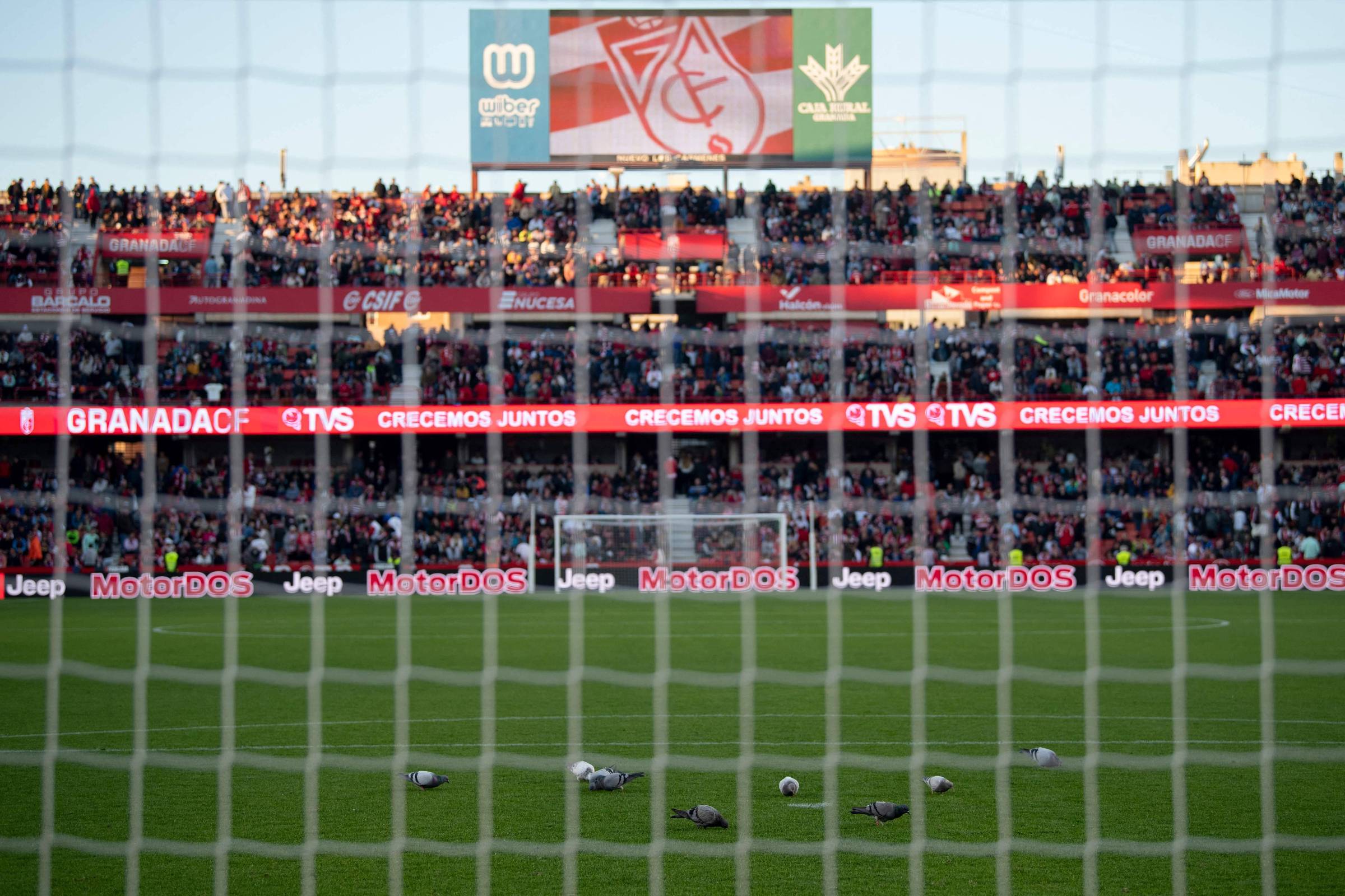 Partida do Espanhol é suspensa após morte de torcedor – 10/12/2023 – Esporte