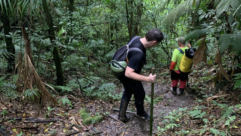Petar, em SP: cavernas impulsionam turismo sustentável – 22/11/2023 – Turismo