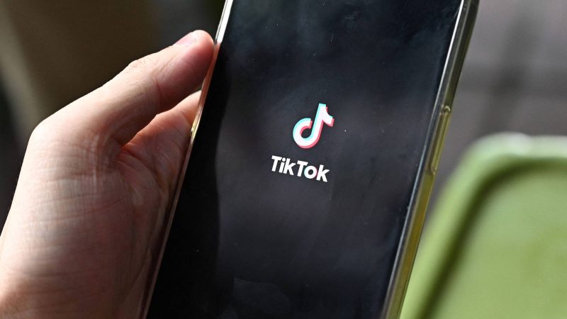 TikTok obtém liminar e evita proibição em Montana, nos EUA – 01/12/2023 – Tec