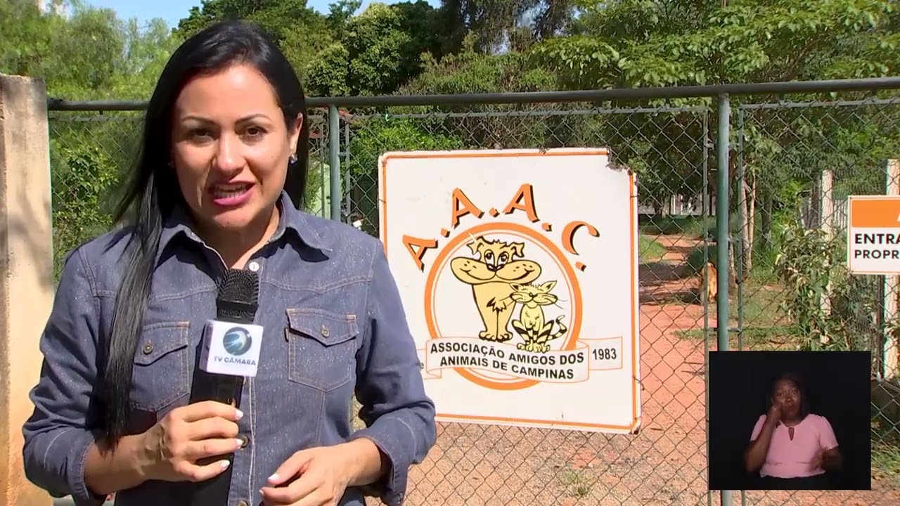 CÂMARA NOTÍCIA – ADOTE UM BICHINHO ESPECIAL 20-12-2023