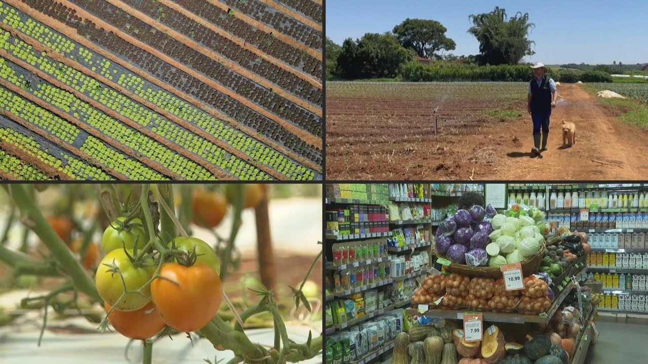 Fazenda Malunga: produção sustentável de orgânicos em Brasília | AFP