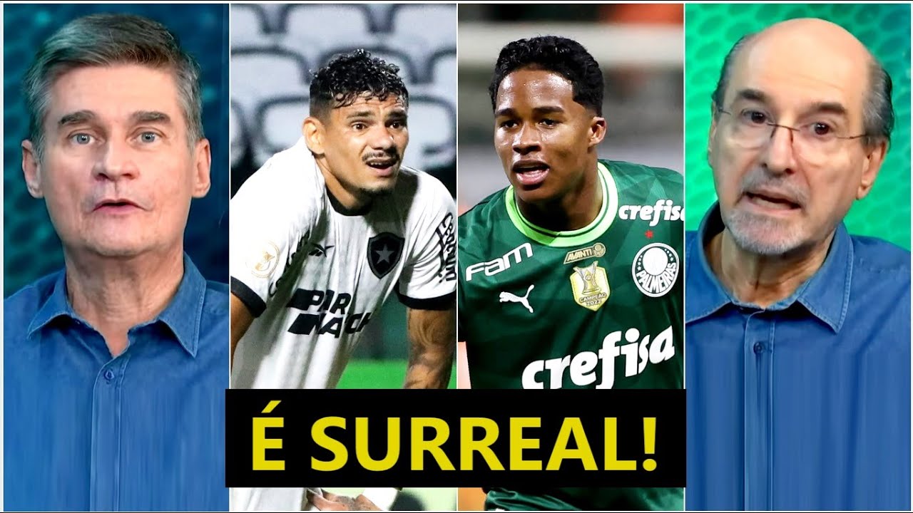“ISSO É INACREDITÁVEL! O Palmeiras, AO CONTRÁRIO do Botafogo, teve…” OLHA o que PROVOCOU DEBATE!