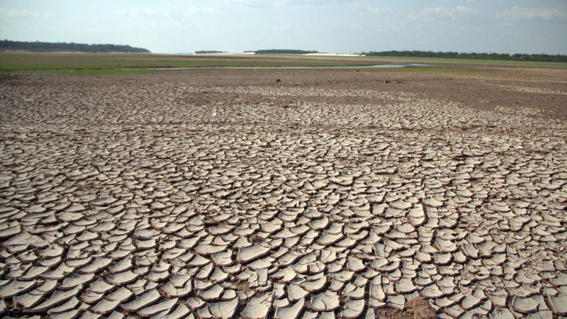 Amazônia: Seca destrói turismo em comunidades ribeirinhas – 01/11/2023 – Ambiente