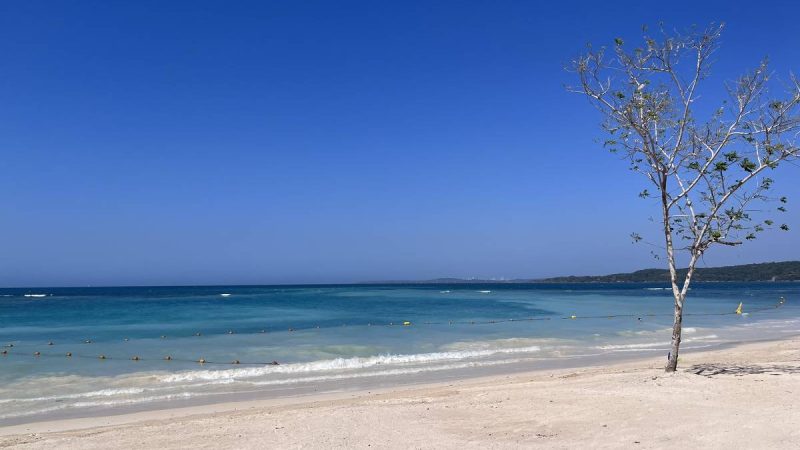 Cartagena, na Colômbia, exige espírito aberto a perrengues – 24/01/2024 – Turismo