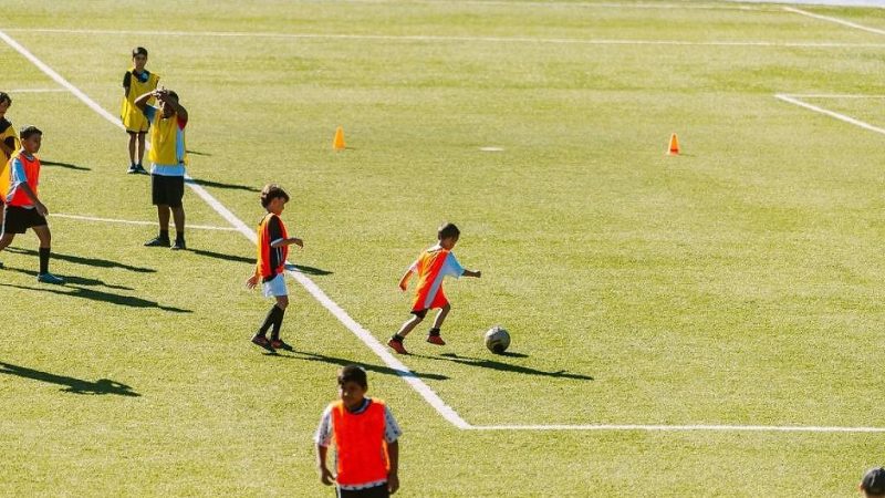 Existe uma inversão no aprendizado esportivo – 23/01/2024 – Tostão