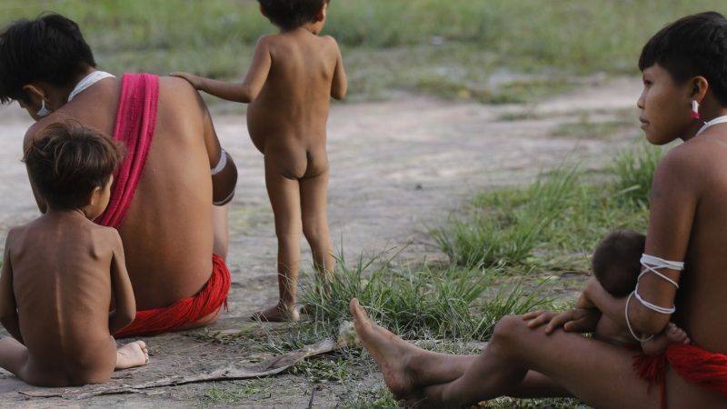 Forças Armadas levarão 15 mil cestas de alimentos aos Yanomami