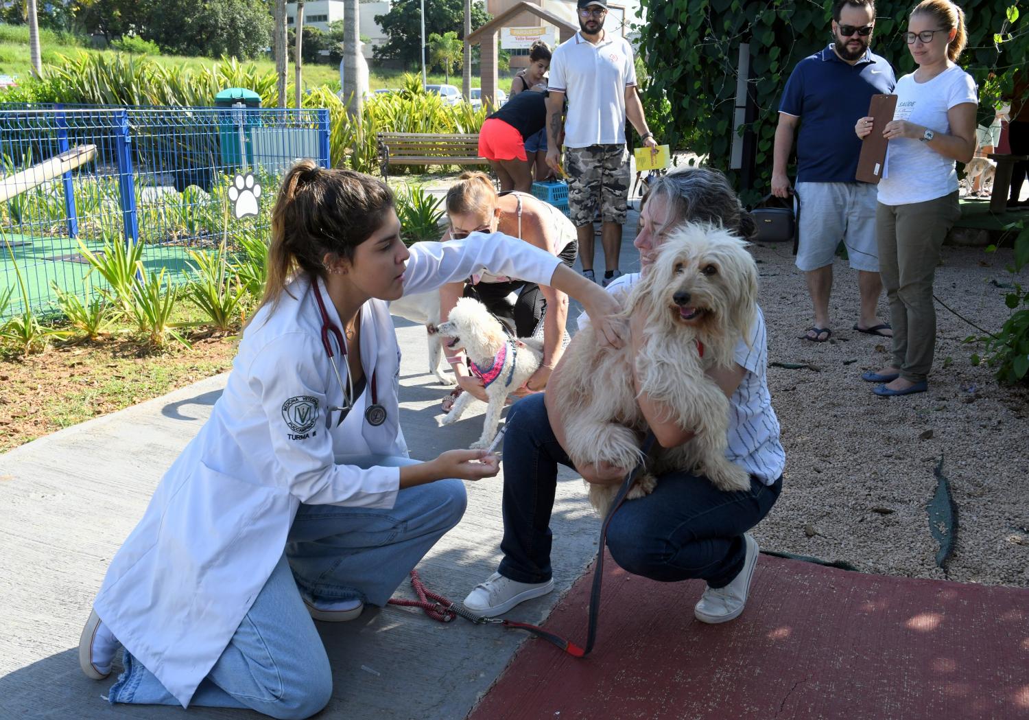 Primeira ao de vacinao contra raiva animal do ano em Indaiatuba acontece dia 27 de janeiro