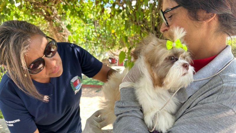 Sade de Indaiatuba e UniMAX vacinam 147 animais contra raiva no ltimo sbado