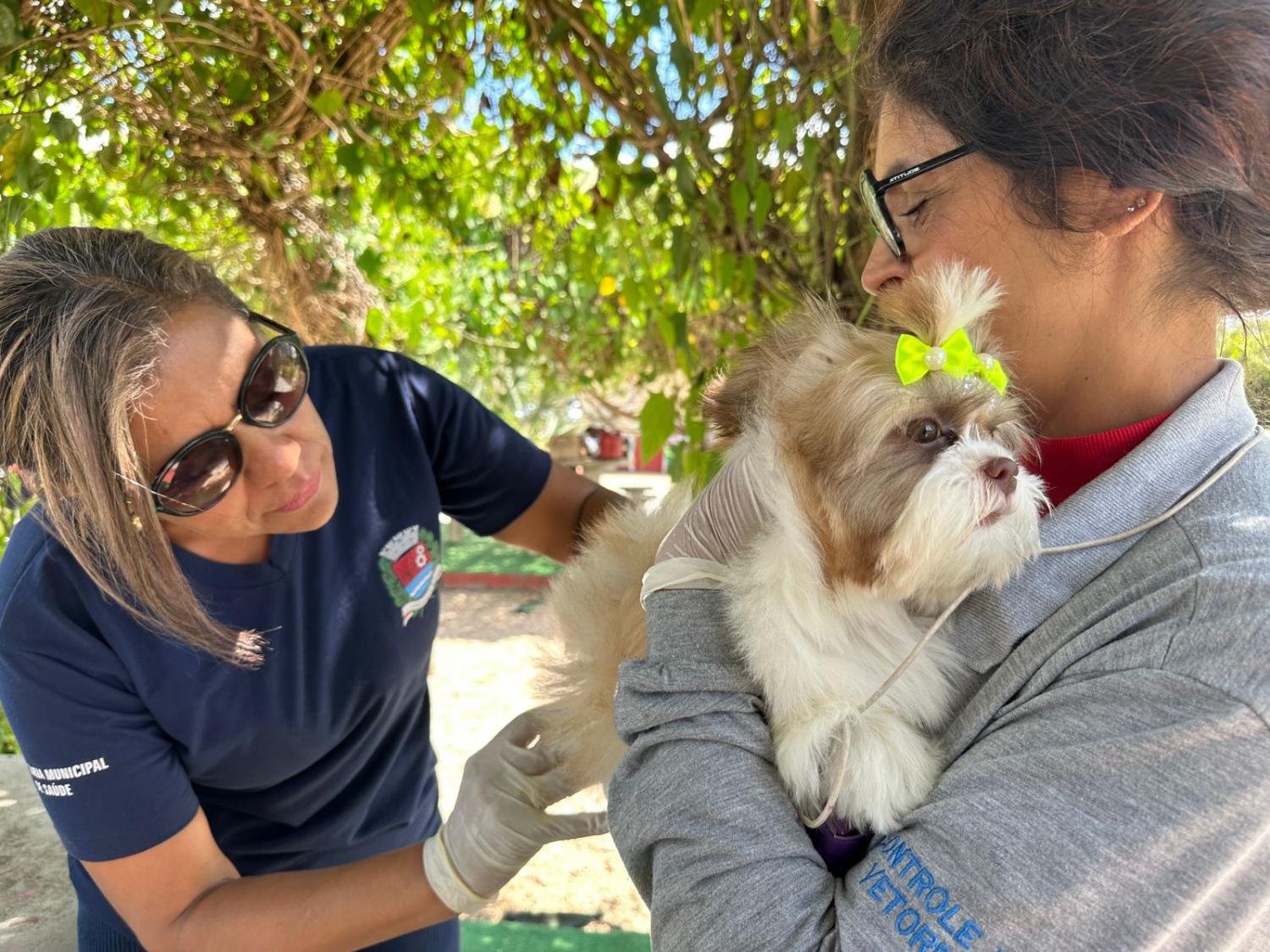 Sade de Indaiatuba e UniMAX vacinam 147 animais contra raiva no ltimo sbado