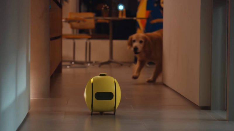 Samsung: Robô-stalker volta em versão com mais funções – 10/01/2024 – Tec