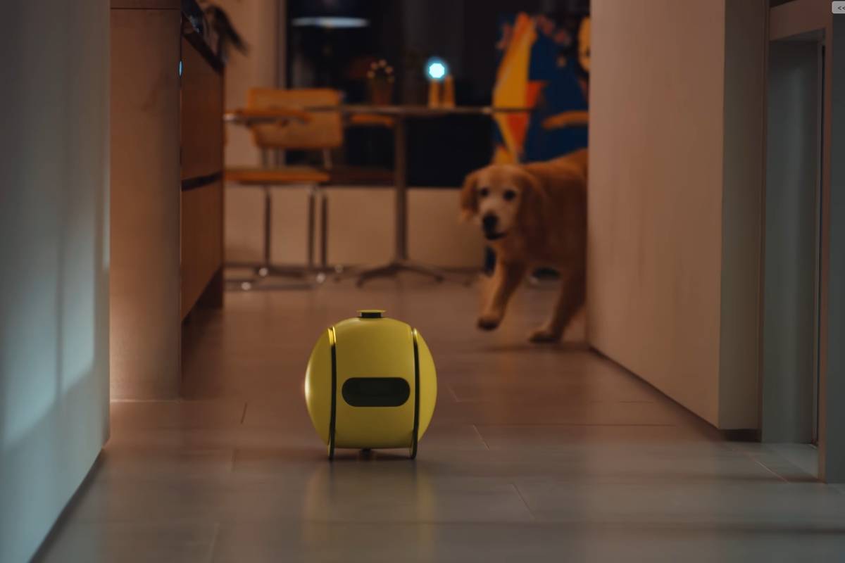 Samsung: Robô-stalker volta em versão com mais funções – 10/01/2024 – Tec