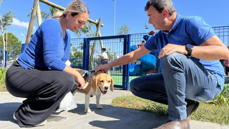 Secretaria de Sade vacina ces e gatos contra raiva neste sbado em Indaiatuba