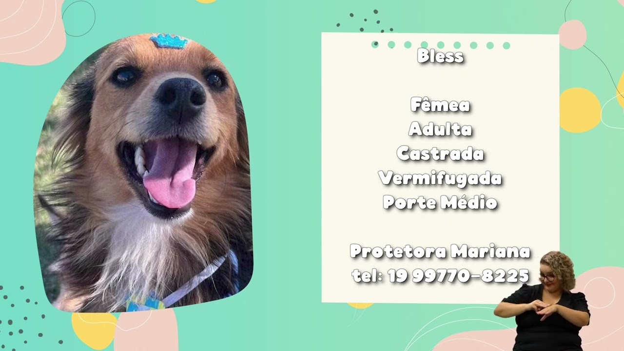 ADOTE UM BICHINHO – SEMANA 15 a 19 DE JANEIRO 16-01-2024