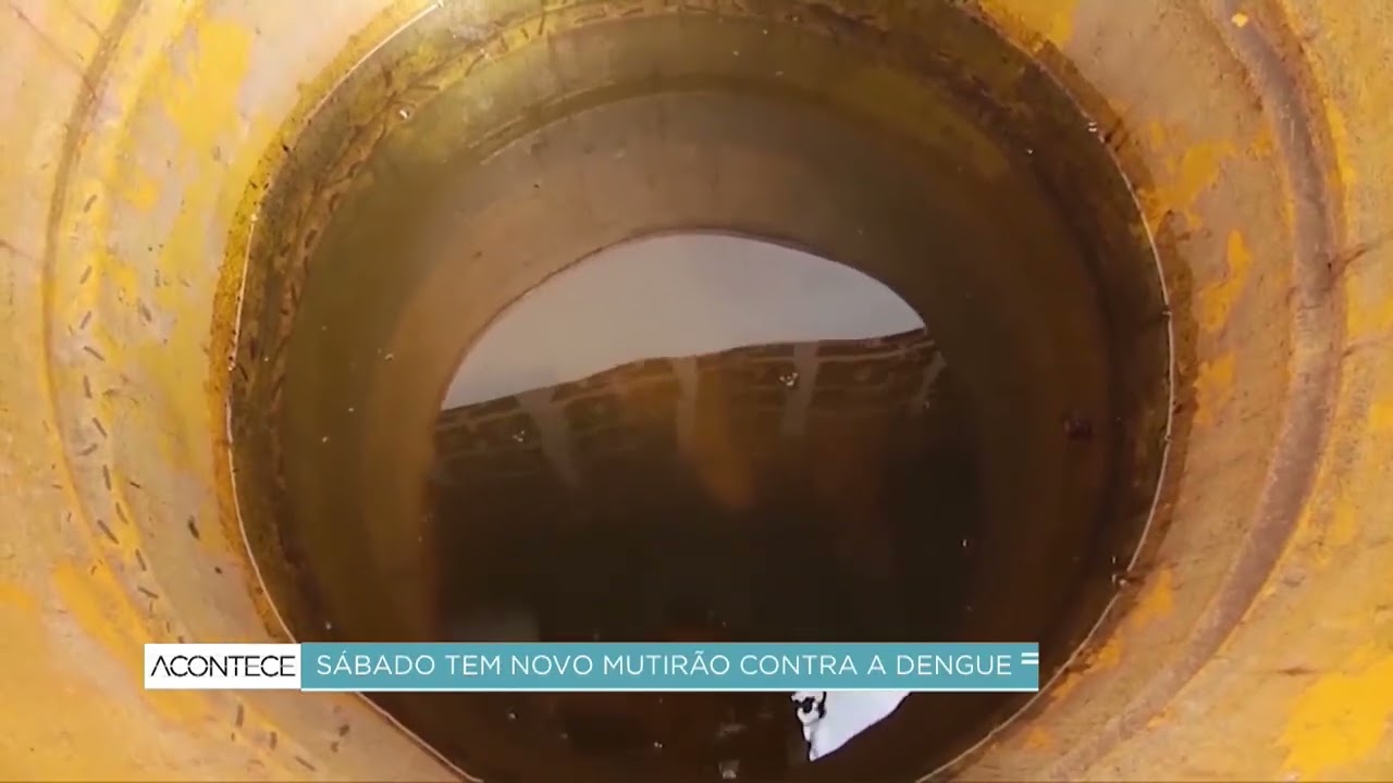 Campinas marca novo mutirão contra a dengue