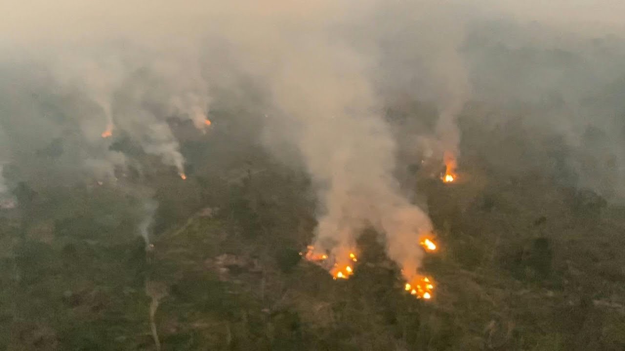 Desmatamento da Amazônia brasileira caiu pela metade em 2023 | AFP