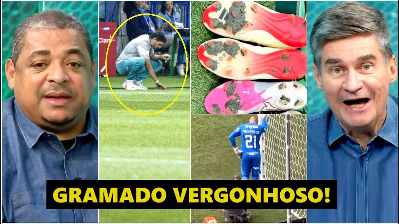 “JOGAR EM PASTO??? É INACREDITÁVEL!” Gramado do Allianz Parque REVOLTA o Palmeiras e PROVOCA DEBATE!