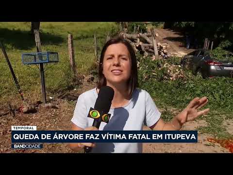 Queda de árvore faz vítima fatal em Itupeva