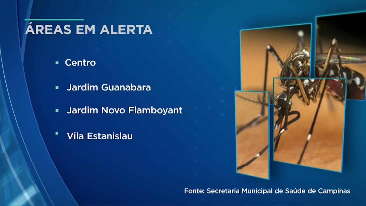 20 bairros de Campinas estão com alto potencial de transmissão de dengue