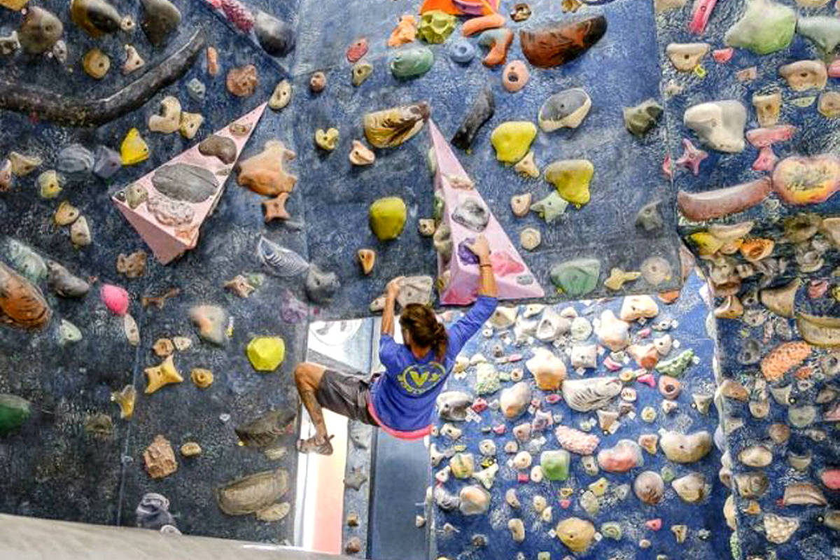Brasil engatinha no mundo colorido da escalada indoor – 01/02/2024 – É Logo Ali