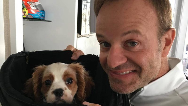 Cachorro de Rubinho Barrichello morre após comer bitucas – 23/02/2024 – Bichos