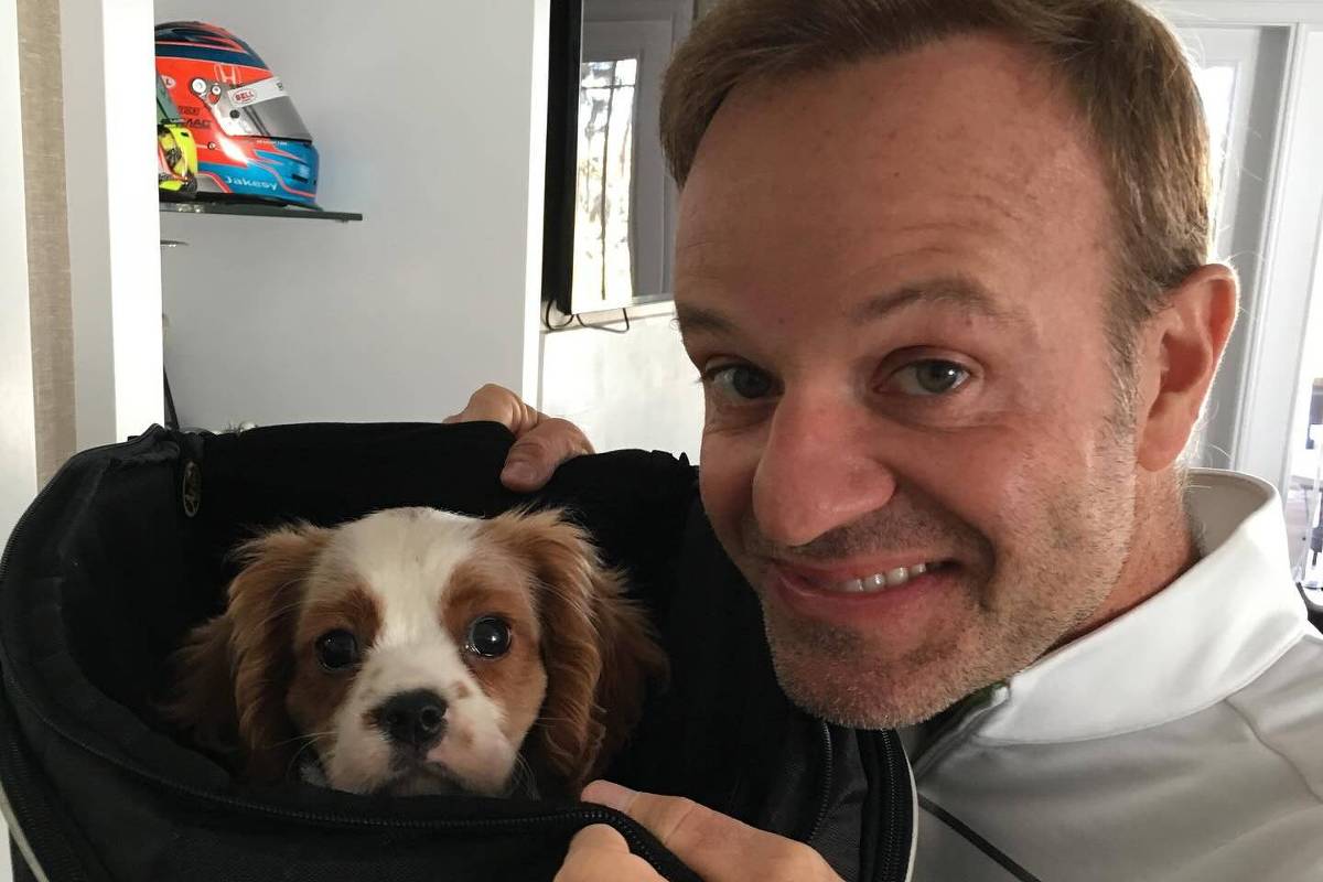 Cachorro de Rubinho Barrichello morre após comer bitucas – 23/02/2024 – Bichos