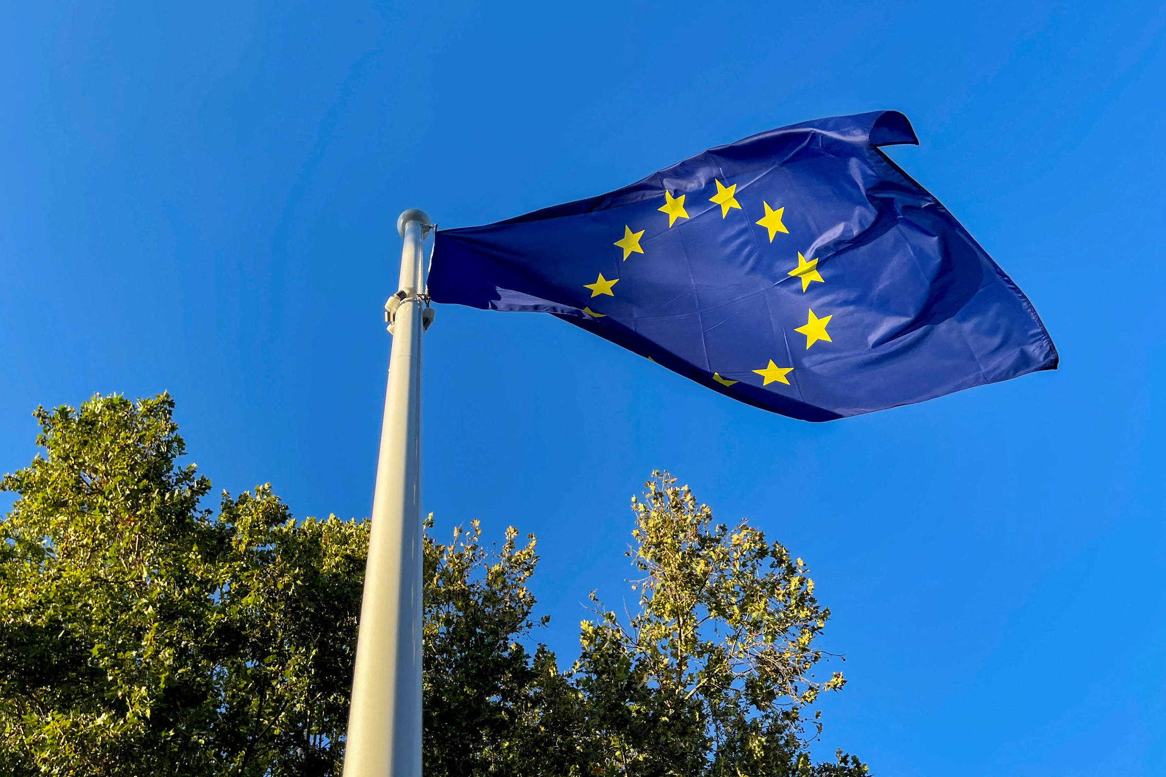 Meta anuncia medida contra fake news nas eleições da UE – 26/02/2024 – Tec