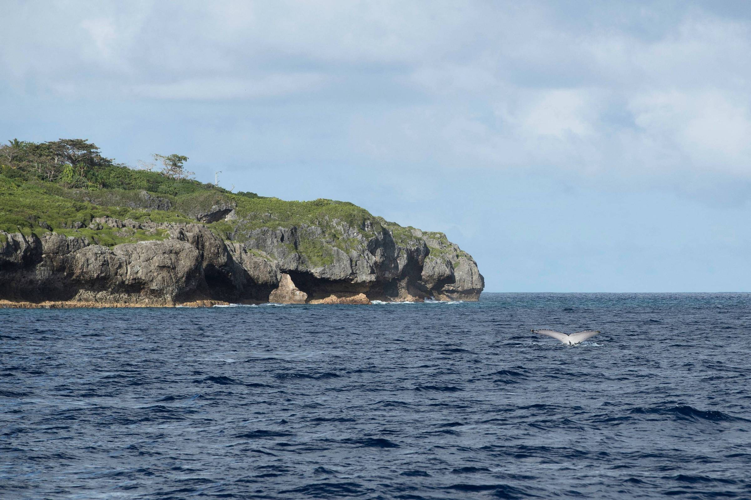 Niue: A ilha que luta há 20 anos por domínio na internet – 23/02/2024 – Tec