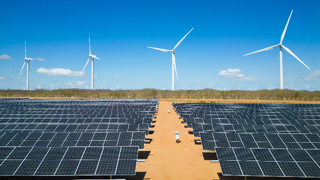 Plataforma vende créditos de carbono a pessoas físicas via Pix