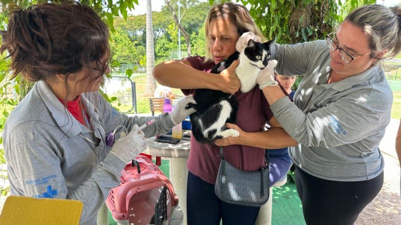 Prefeitura de Indaiatuba abre novos cadastros para vacinao contra raiva animal