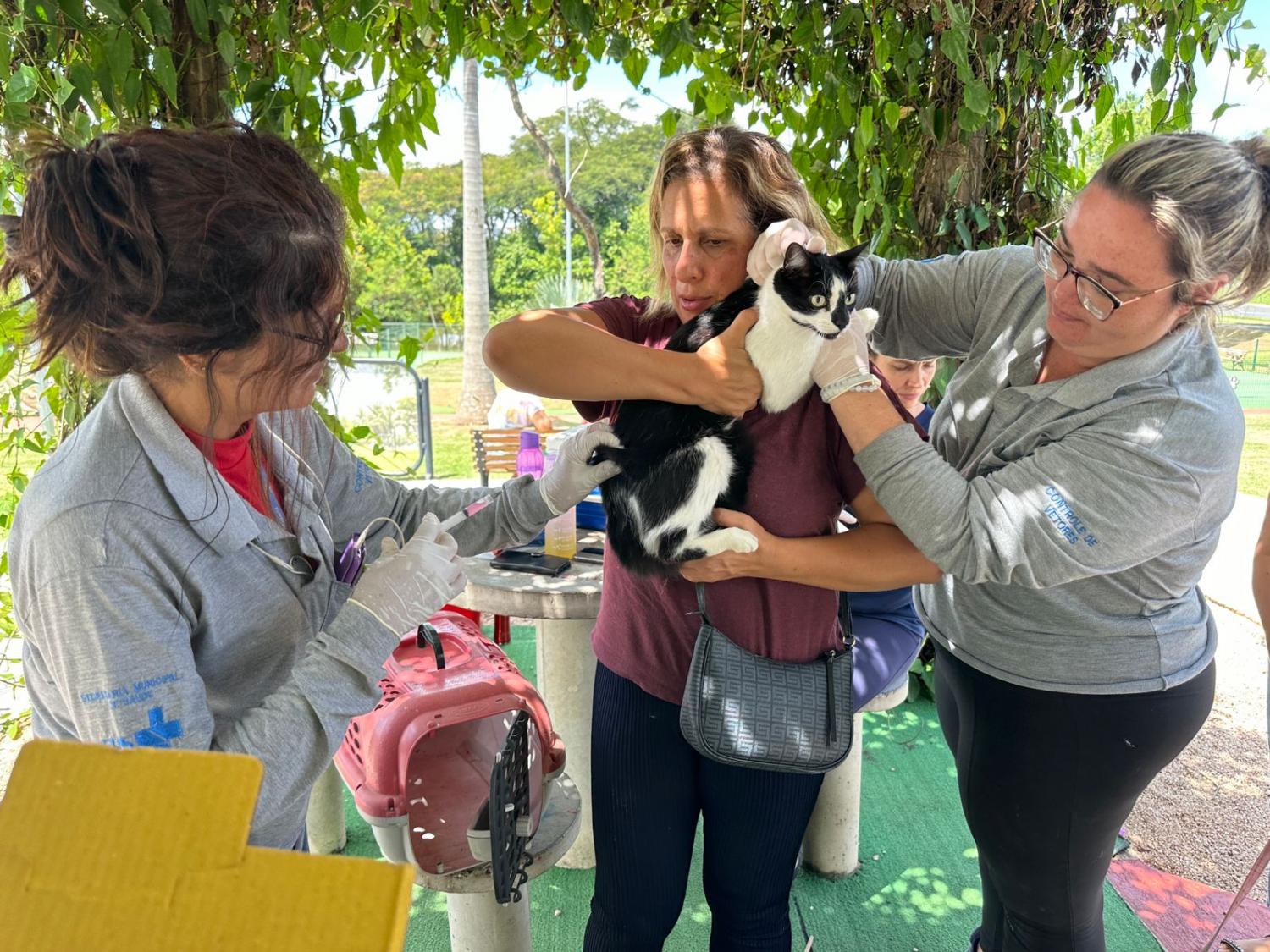 Prefeitura de Indaiatuba abre novos cadastros para vacinao contra raiva animal