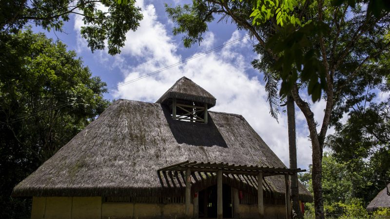 Quilombo dos Palmares deve ganhar estrutura modernizada – 28/02/2024 – Turismo