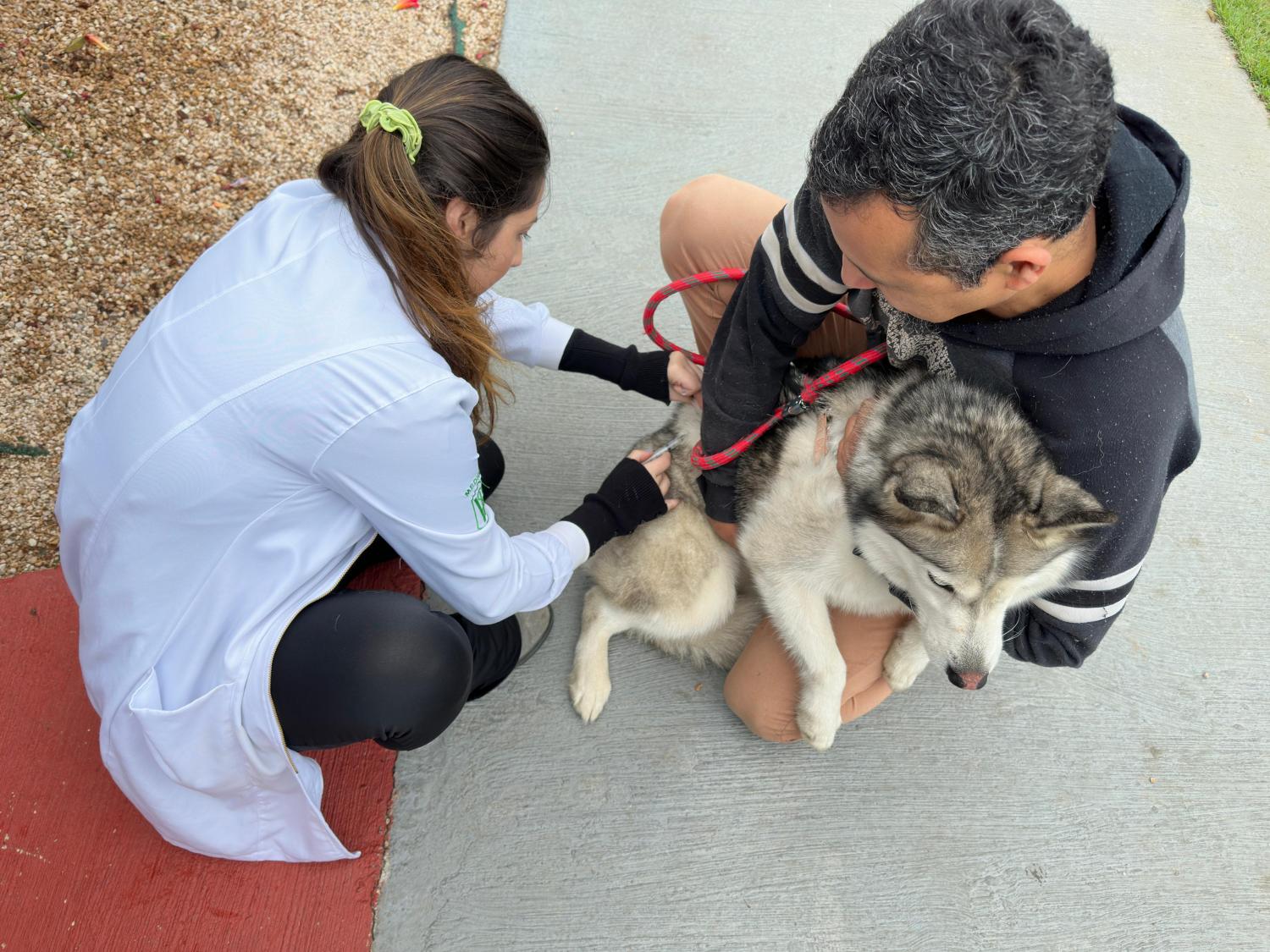 Sade de Indaiatuba e UniMAX vacinam 123 animais contra raiva no ltimo sbado