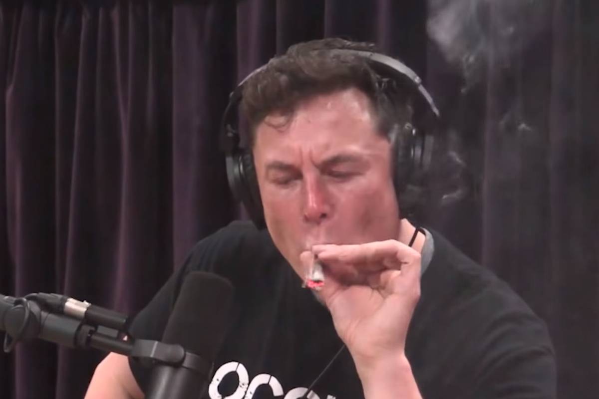 WSJ: Musk usou drogas com conselheiros de Tesla e SpaceX – 04/02/2024 – Mercado