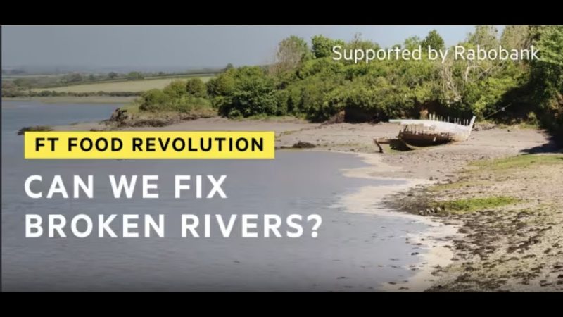 A luta por rios mais saudáveis
