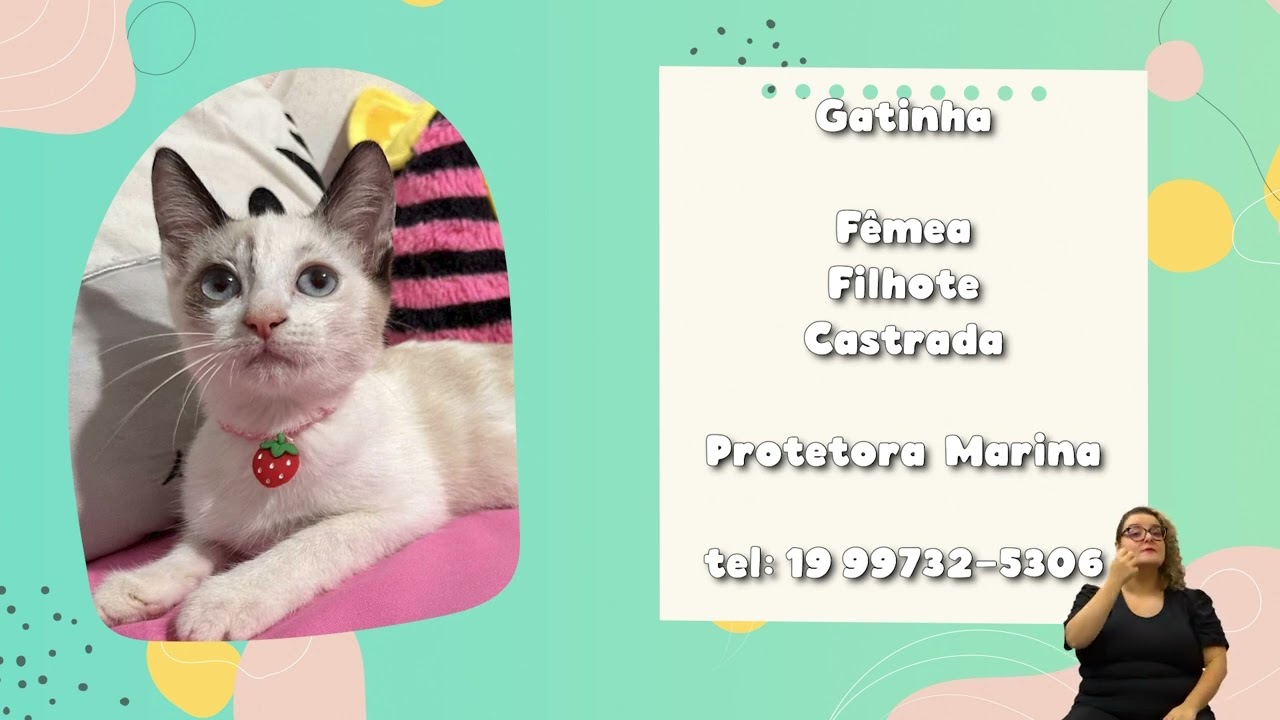 ADOTE UM BICHINHO – SEMANA 19 a 23 DE FEVEREIRO 20-02-2024