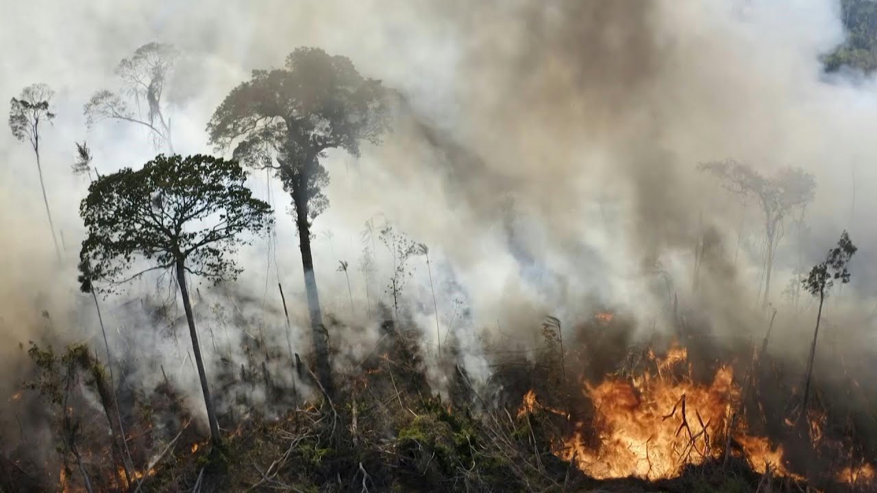 Amazônia Legal registra quase 3 mil incêndios, recorde para o mês de fevereiro | AFP